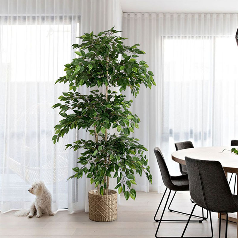 Ficus Lyrata Tree - 70in Ficus Kunstmatige Boom Grote Tropische