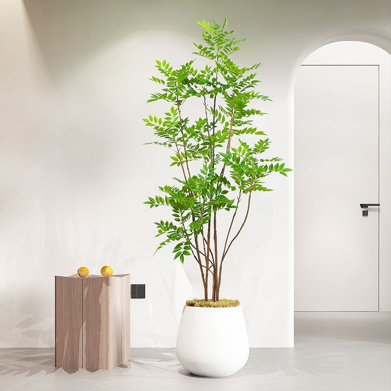 Dracaena Marginata - 27-59in Grote Nepplanten Kunstmatige Ficus Boomtak