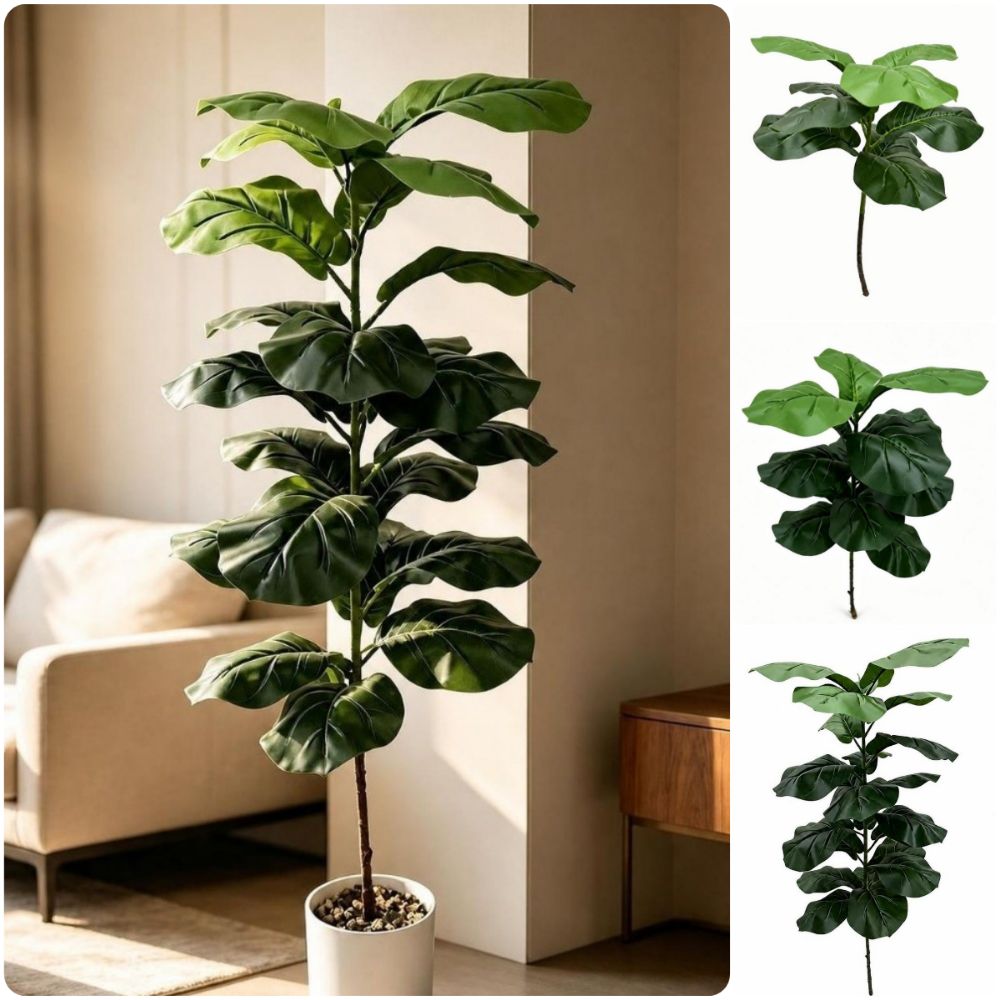 Ficus Lyrata Tree - 9/15/23 Kunstmatige Ficus Lyrata Bladeren Grote