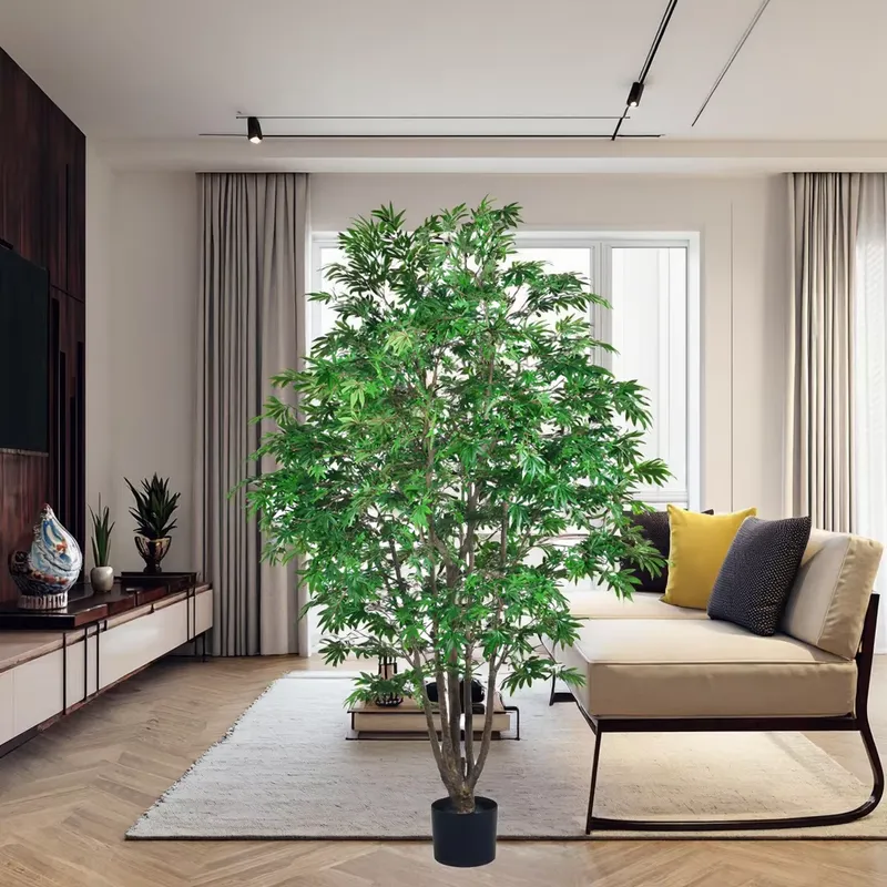 Trendy groothandel groene esdo - Dracaena Marginata recensie en prijs