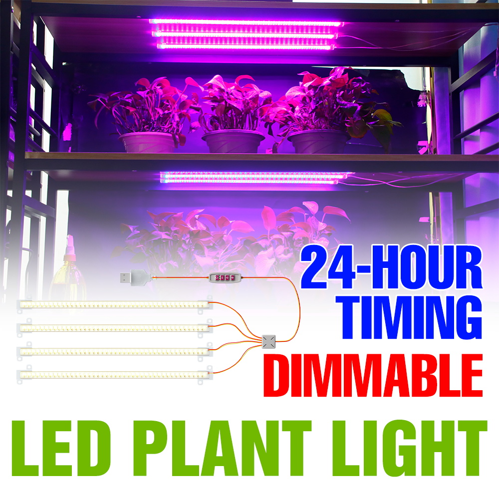LED Indoor Plant Light Bar USB - Echeveria Succulent recensie en prijs