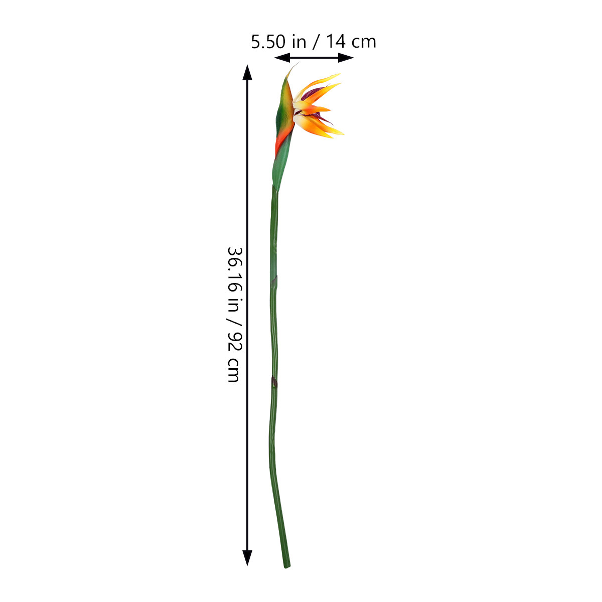 Kunstmatige Paradijsvogelbloem - Bird Paradise Strelitzia recensie en prijs