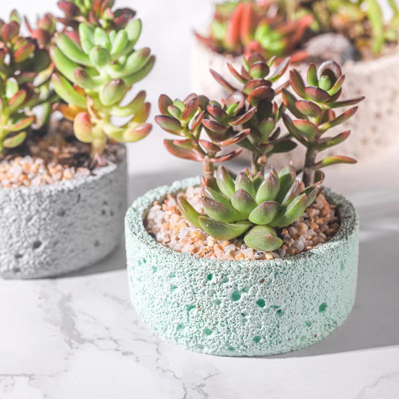 Nordic Cement Bloempot Eenvoud - Echeveria Succulent recensie en prijs
