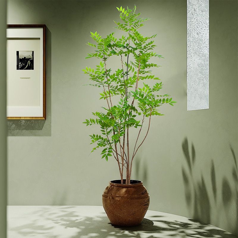 27-59in Grote Nepplanten Kunst - Dracaena Marginata recensie en prijs