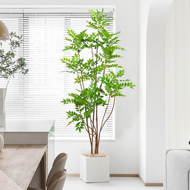 27-59in Grote Nepplanten Kunst - Dracaena Marginata recensie en prijs