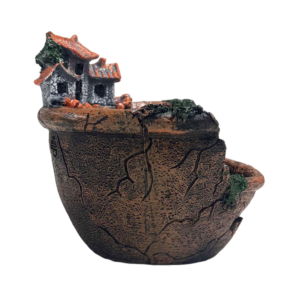 Succulent Pot Vintage Multi Po - Echeveria Succulent recensie en prijs