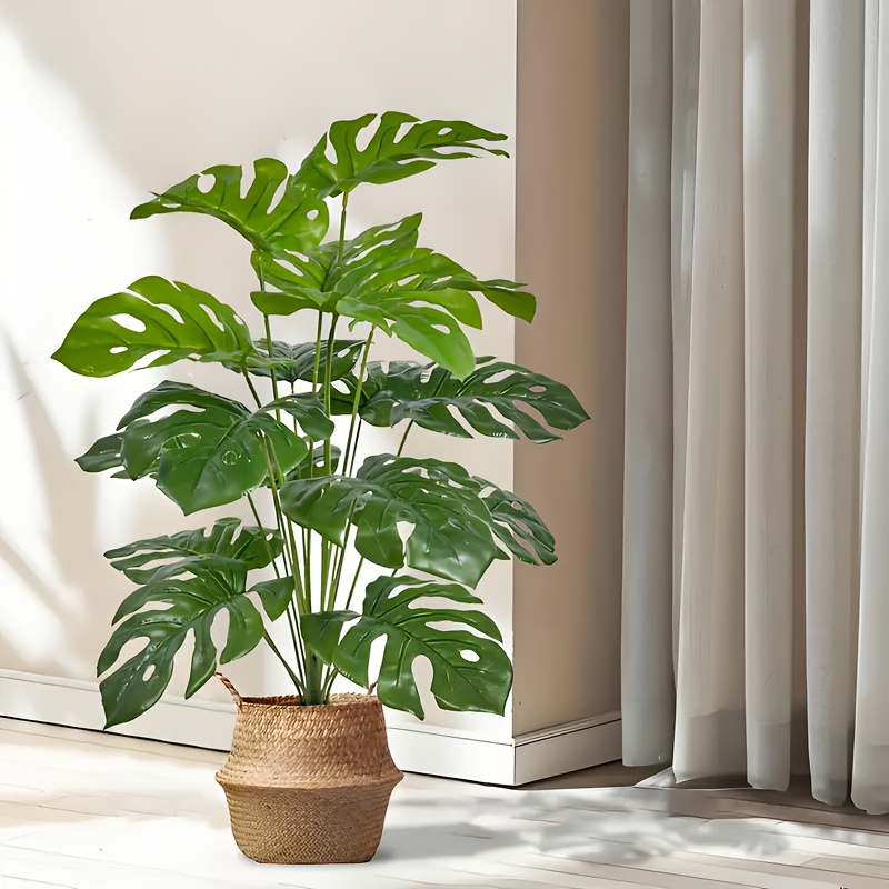 2 stuks groene 24 bladeren kun - Monstera Adansonii recensie en prijs