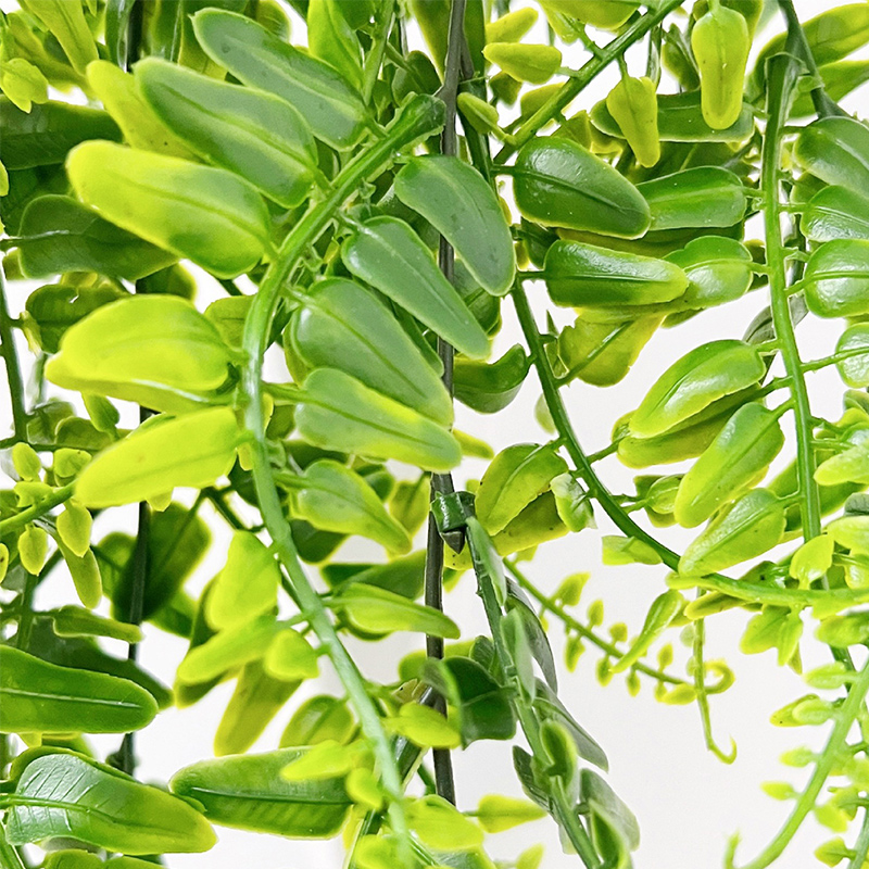 90cm Perzische Varen Bladeren  - Monstera Adansonii recensie en prijs