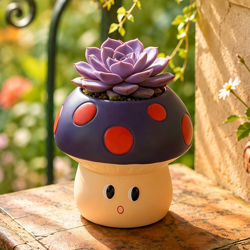 Schattige cartoon-paddenstoel  - Echeveria Succulent recensie en prijs