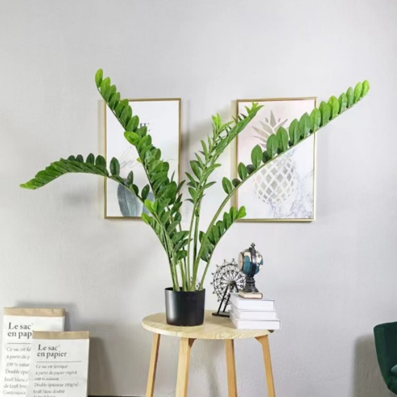 Kunstmatige grote Banyan-tak g - Dracaena Marginata recensie en prijs