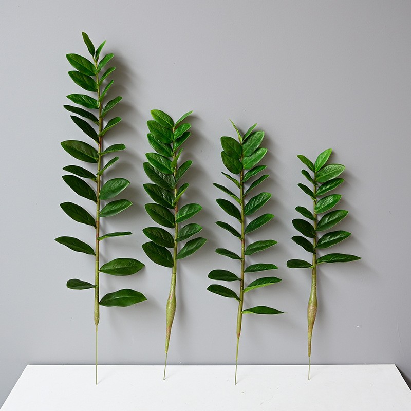 Kunstmatige grote Banyan-tak g - Dracaena Marginata recensie en prijs
